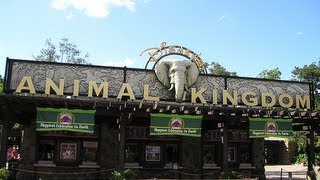 Animal Kingdon General Update 2013