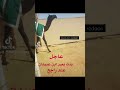 عرض فاخر للفرديه عاجل بنت بعير بن عبيدان الرجباني المالك راجح بن راجح اختم اعجابك بذكر الله 