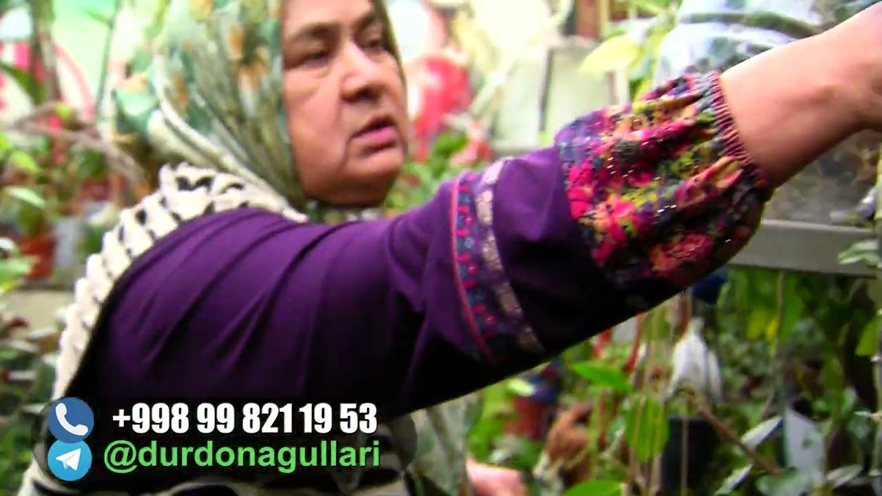 Byizning  noyob gullar aranjereyasiga sayohat 🌺🌿💯😊