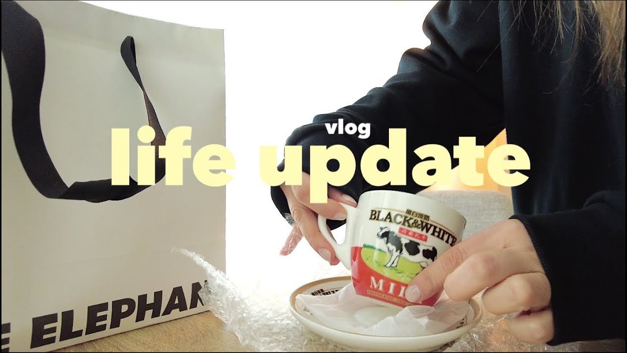 Life after losing my cat | Coping with the loss & trying to heal