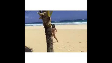 Stanija Dobrojevic na plazi