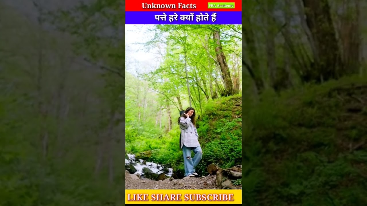 Why Do Plants Look Green shorts praacademy YouTube