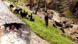 Rain or Shine: The Unyielding Spirit of Nomadic Men and Their Grandmother's Sheep