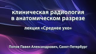 Попов П.А. – лекция «Среднее ухо»