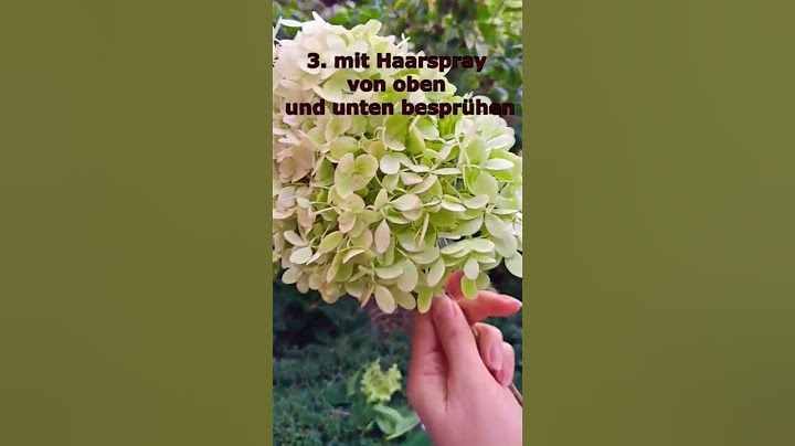 Hortensien ganz einfach und schnell trocknen #flowers #shorts