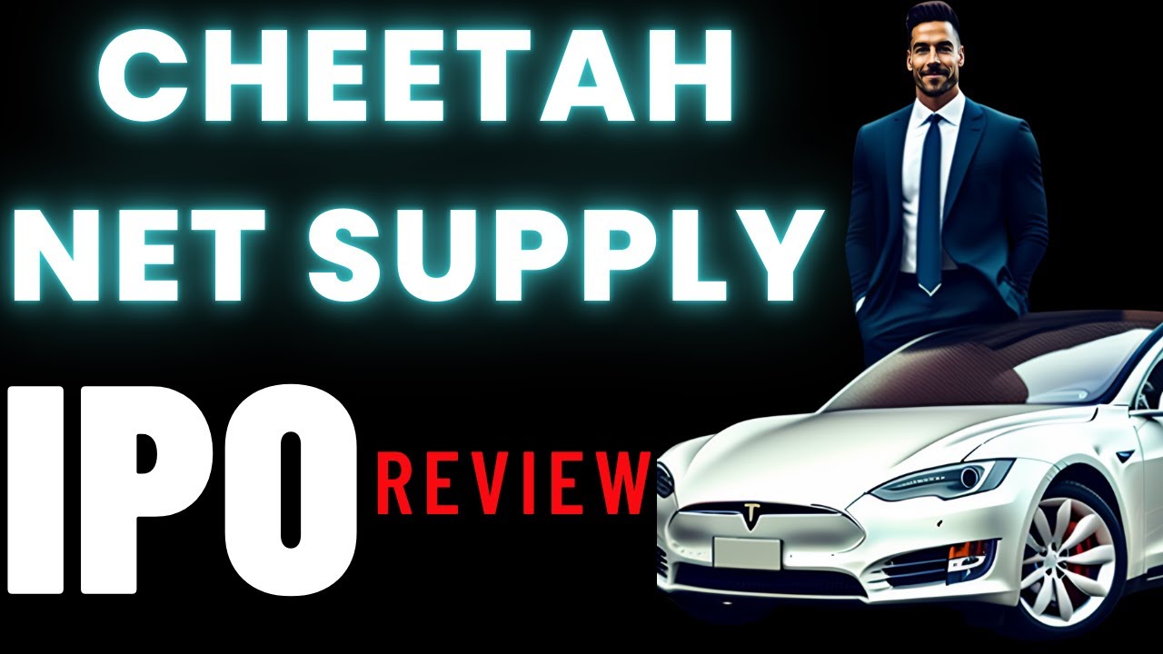 IPO Review Analysis For Cheetah Net Supply Chain Services CTNT Stock