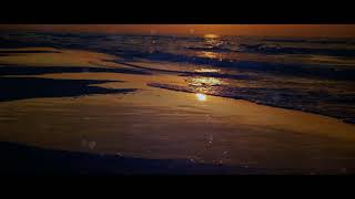 Heart Soothing Amazing Tilawat By Sheikh Yasser Al Dosari || Soft Quran Recitation screenshot 4