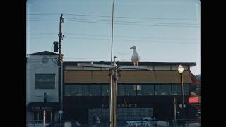Fisherman's Wharf, San Francisco, 1959