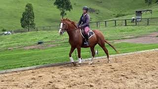 Moor-lands Rumour Mill