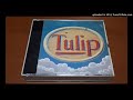 TULIP 人生ゲーム
