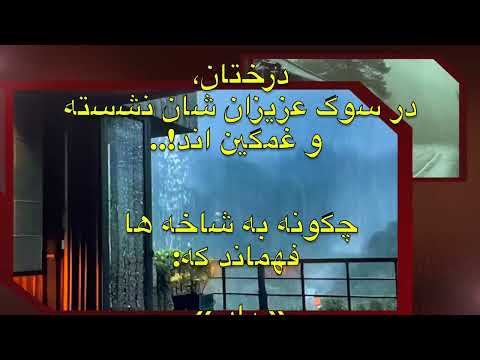 عذر خواهی باد