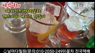 [세밖녀]날마다힐링 페파민트꽃차,맨드라미꽃 에이드 만들기 전과정~ 날마다힐링 세상밖으로나온여자 세밖녀tv