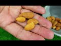 Almonds mix raisins recipe by mrdesi  arab dessert recipe