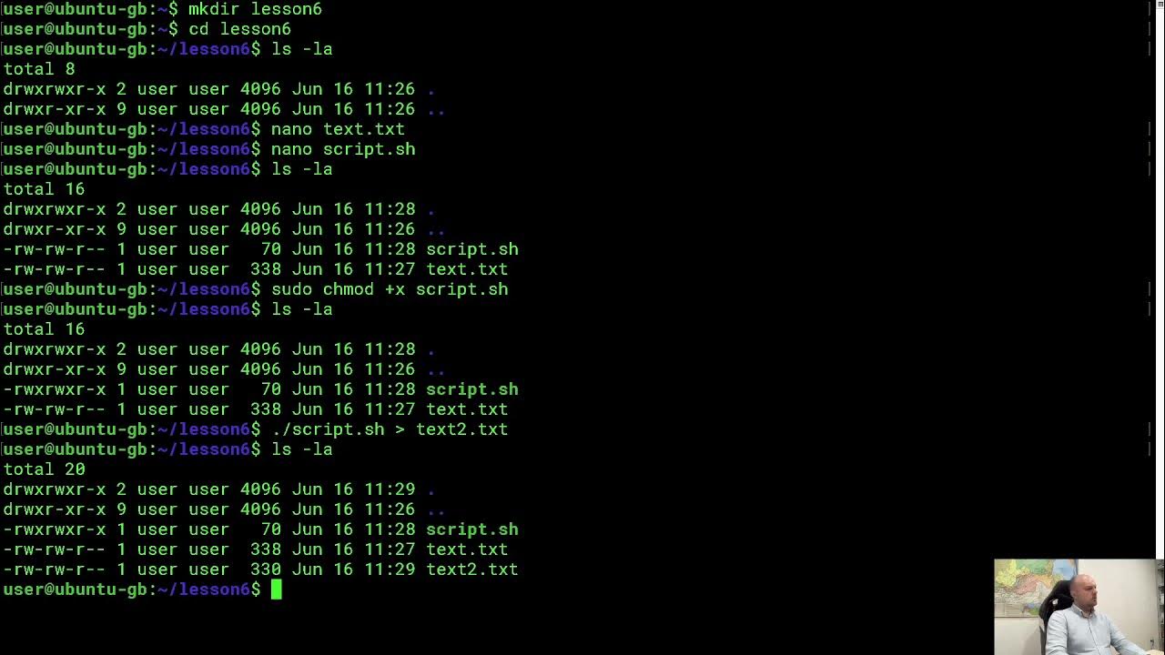 Введение в linux. Bash скрипт linux. bash язык программирования. команда sed linux. sh скрипт.