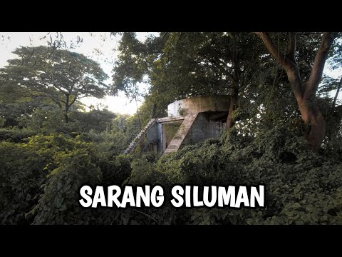 HAMPIR DOWN! Ternyata SARANG SILUMAN Terbesar di Surabaya