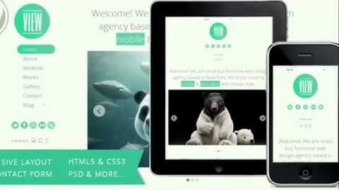 View - 2 in 1 WordPress Responsive Themes