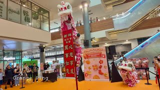 Download Lagu Singapore Xinyang Athletic Association 新加坡新洋体育会 at Plantation Plaza MP3