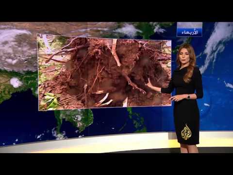 النشرة الجوية الأولى 5/5/2016