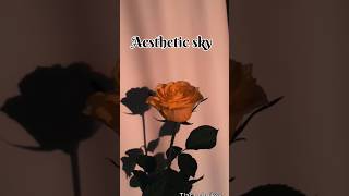 Aesthetic Sky