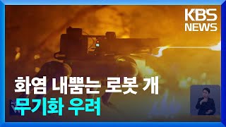 네발로 폴짝, 10미터 뿜는 불…화염방사기 ‘로봇 개’ 논란 / KBS 2024.04.25.