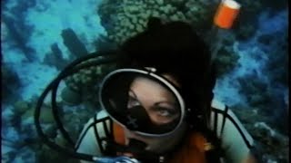 Scuba Divers Explore Underwater 1970S