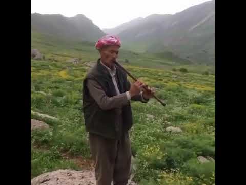 Kaval sesi insanı