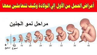أعراض الحمل من اليوم الأول وحتى الولادة وكيف تتعاملين معها؟ مراحل نمو الجنين