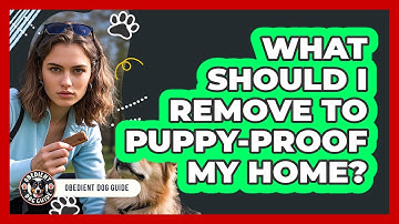 What Should I Remove To Puppy-Proof My Home?
