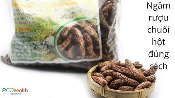 Ngâm rượu chuối hột đúng cách trị sỏi thận