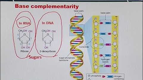 Topic 14 (BIF401 - Bioinformatics I)