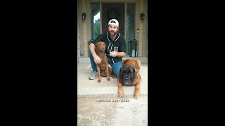 PetSafe’s Three Fence Types