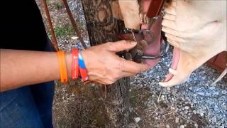 Demi Lifter Single Joint Curb Bit