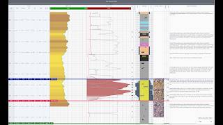 Striplog in PathFinder | live wellsite geology #Geosteering #Mudlog #IMAGE2026