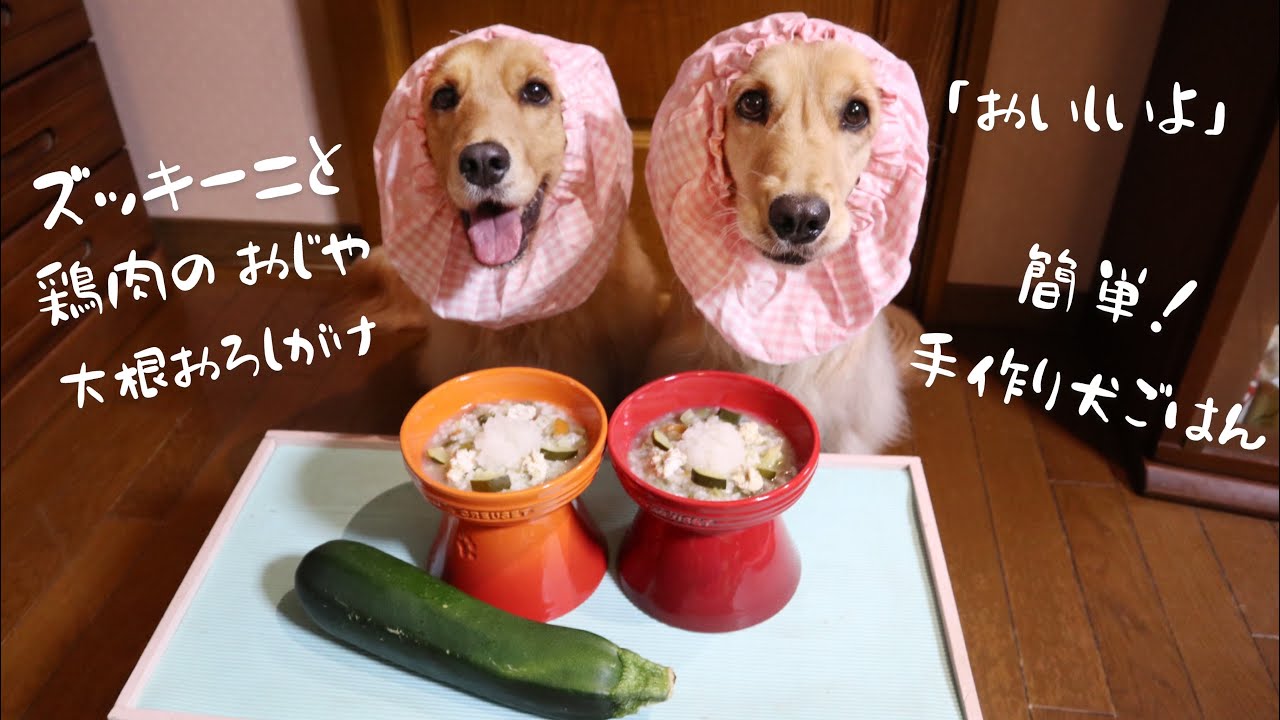 簡単 手作り犬ご飯 ズッキーニと鶏肉のおじや 咀嚼音 Asmr 作り方 Dog Food Recipe Youtube