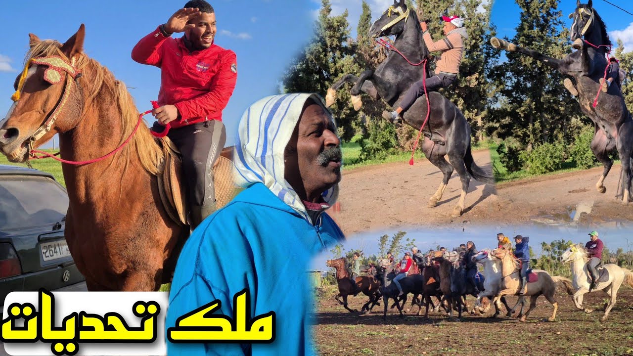 الفيديو المنتظر اليوم جى شرويط عند بادريس على قبل العود الدهم القبيح وتحداه. نتيجة تحدي🤔📹