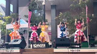 20241130 Wqwq バブリー革命ライブ 3 みんなの太陽