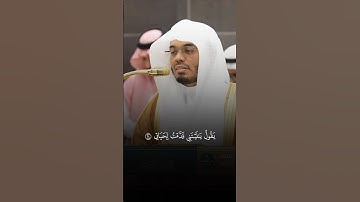 تلاوة عذبة خاشعة للشيخ #ياسر_الدوسري من خواتيم سورة الفجر 🤍#ياسر_الدوسري #الحرم_المكي #تلاوة_خاشعة
