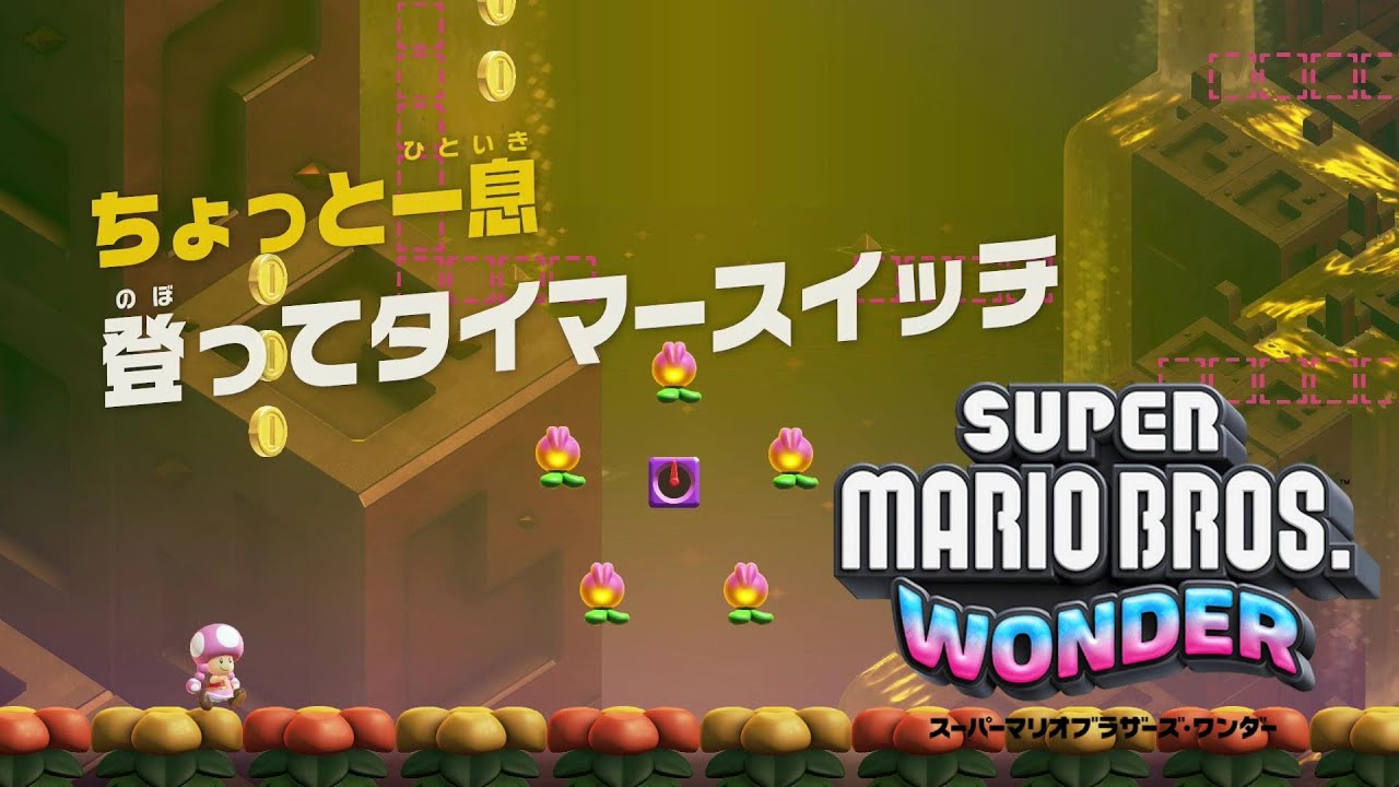Switch マリオパーティをおまけにつけて可愛らしいトイプードルがメイン Switch マリオパーティをおまけにつけて可愛らしいトイプードル