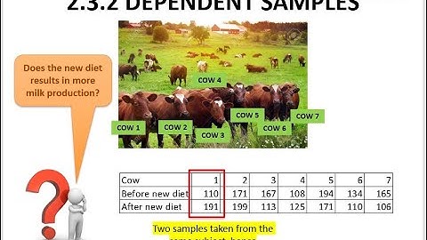 Chapter 2.3.2 :: Confidence Interval for Dependent Samples