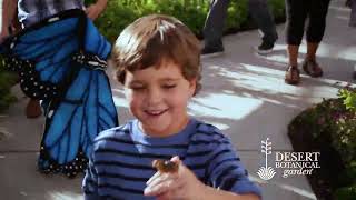 Spring Butterfly Exhibit