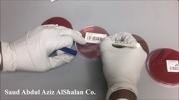 Bacteriology (D) CAP PT by SASC