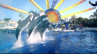 Celebrating 50 Years of SeaWorld®