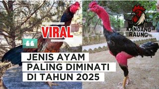 The Most Popular Chicken Types In 2025