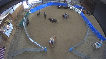 Big Sky Ranch Sorting Saddle Series #4 - #8 HC RANCH HAND (2 CAP SORTER) - Round #2 - Ride #9
