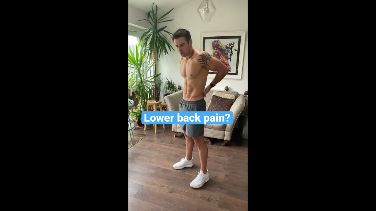 LOWER BACK PAIN Do These Exercises Everyday 