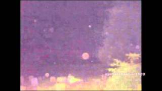 Phantom Creature at St. Francis Cemetery