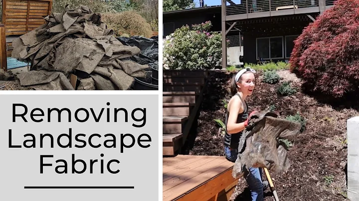 One Piece at a Time: How & Why I Removed My Landscape Fabric 6 Years Later
