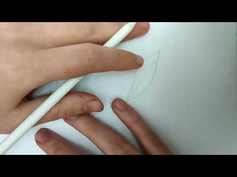 طريقة تظليل ورق الشجر