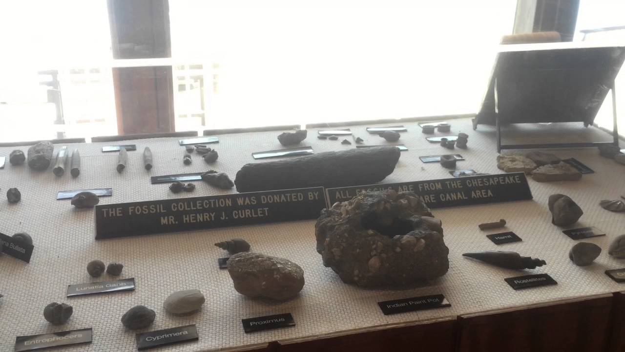 Chesapeake and Delaware Canal Operating History