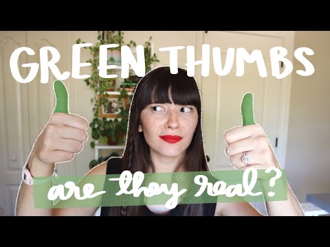 Video: Green Thumb Gardening – boření mýtu o zeleném palci